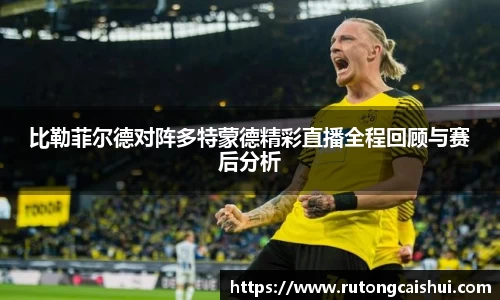 乐动LDSports官网