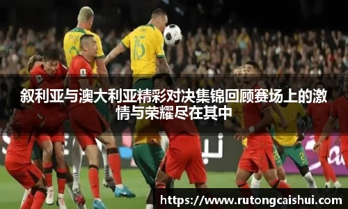 乐动LDSports综合体育